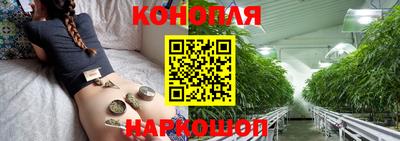 стаф Гагарин