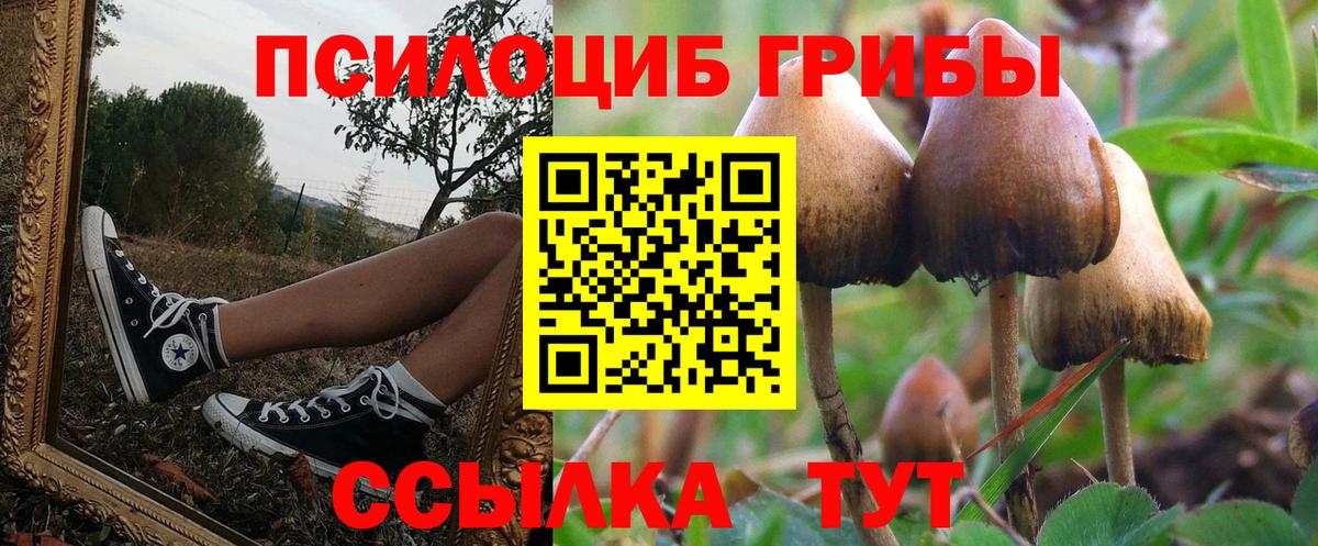 Псилоцибиновые грибы MAGIC MUSHROOMS  Вход с VPN  Набережные Челны 